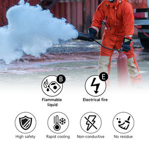 Hoge Kwaliteit Fabriek Groothandel 2Kg <span class=keywords><strong>Co2</strong></span> Brandblusser - Product Image 4