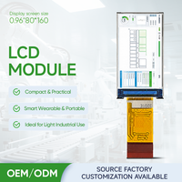 Module LCD TFT IPS portable intelligent et pratique de petite taille personnalisé pour usage industriel léger, résolution 80x160 320