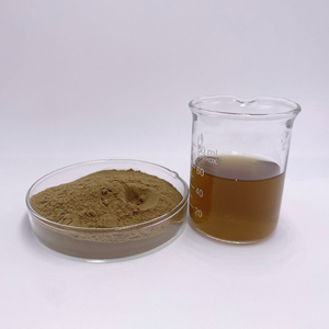 HongdaハーブエキスTaraxacum officinaleエキス天然タンポポ根エキス粉末无料サンプル - Product Image 3