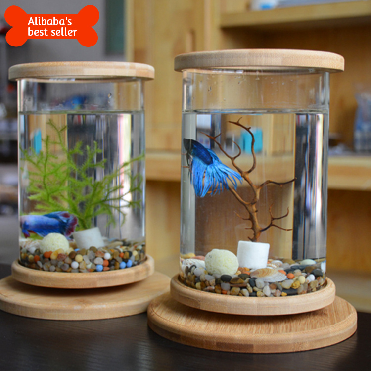 fish bowl cover with light