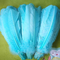 Plumes de dinde rigides de 10-12 pouces, plumes d'aile primaires, véritables plumes d'écriture pour stylos de calligraphie, montage de mouches et artisanat DIY