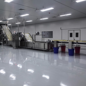 工厂批发大型椰奶破碎机榨汁机椰子压榨机 - Product Image 5