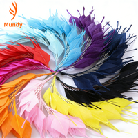 Plumes colorées pour fascinators de Royal Ascot, coiffes de spectacle pour enfants et décorations de fêtes.