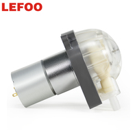 LEFOO Longlife 280 ml/min CE FDA Petite pompe doseuse péristaltique Moteur 24v DC Traitement de l'eau Pompe péristaltique liquide microfluidique