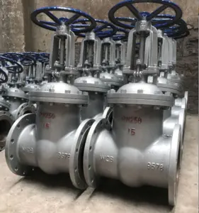 RTS Wholesale Price PN16 Hand Wheel Flange Wedge Type Gate Valve Stainless Steel Non-Rising Stem Flange Gate Valve