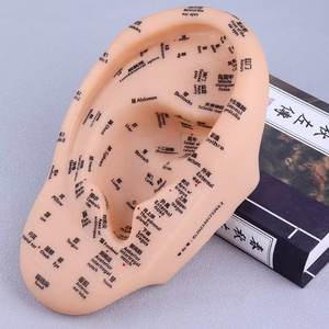 30 सेमी पारंपरिक चीनी चिकित्सा ऑरिकुलर पॉइंट मॉडल दोहरी भाषा उत्कीर्ण कान अभ्यास शरीर सुरक्षा फ़ंक्शन प्लास्टिक - Product Image 3