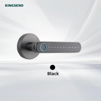 Kunci Pintu Pintar Sidik Jari Tanpa Kunci untuk Rumah dan Kantor, Pintu dari Paduan Aluminium dengan Opsi Penyimpanan Data Cloud Smart LocK