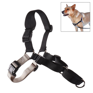easy walk harness use