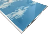 Panel de Pared con Diseño de Cielo Azul y Nubes, 250 mm de Ancho, Laminado, con Ranura y Lengüeta, Techo de PVC