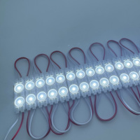 Módulos LED para Iluminación Exterior, Letreros Publicitarios, Módulo Luminoso Exterior de 12v, 2 Letreros Luminosos, Módulo LED de Inyección Smd2835 4816