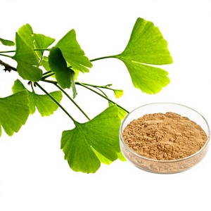 순수 식품 등급 은행잎 추출물 분말 알루미늄 호일 포장 - Product Image 1