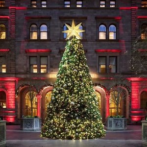 <span class=keywords><strong>Arbre</strong></span> de Noël géant extérieur personnalisable avec cadre métallique lumineux LED - Product Image 3
