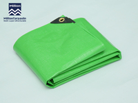 Million 6*6 110g Bâche en PE verte stratifiée enduite, résistante aux UV et imperméable, design personnalisé, meilleure vente