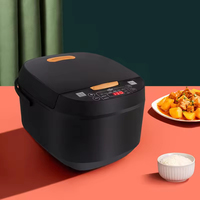 Cuisinière à riz mini 5L avec pot antiadhésif Fonction maintien au chaud 800W