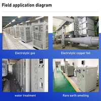 Alimentation électrique pour électrolyse LIYUAN 500A 100V haute fréquence à sortie unique SCR pour traitement de l'eau