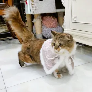 Roleplay Costume Poncho Cape Cat Warm Coat Cloak For Cat Cosplay Cat Hats Coats Cute