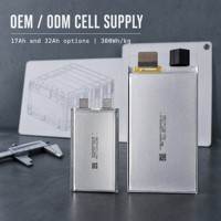 Services mondiaux d'intégration et de développement de batteries au lithium semi-solides OEM 17Ah 32Ah 300Wh/kg pour le stockage d'énergie