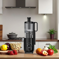 Elektrische RVS DC-motor slow juicer met koude persing, zelfreinigend, laag geluidsniveau, energiezuinig, huishoudelijk gebruik, geschikt voor fruit