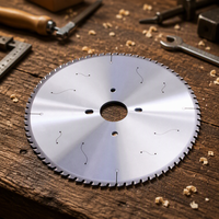 Lames de scie TCG en diamant PCD soudées haute fréquence de qualité industrielle personnalisées 300-480 mm pour le travail du bois OEM/ODM Marque Dongwang 72-144