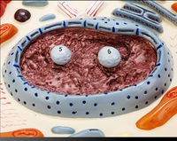 Modèle de cellule animale, structure microscopique, anatomie, membrane cellulaire, cytoplasm, noyau, mitochondrie, plastique, Chine