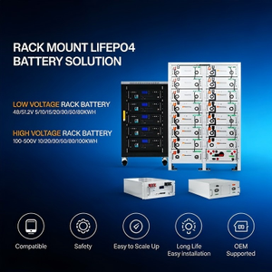 51.2V <b>Rack</b>-Mounted Lithium Ion Battery for Hybrid Grid Household Energy Storage 10-20KW Output Power All-In-One System with BMS - Product Image 5