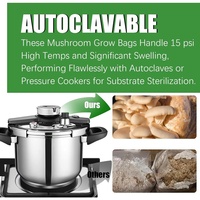 Sacs de culture de champignons en PVC FHT 6 mil 8x5x20 avec filtre de 0,2 micron pour la culture d'huîtres, de shiitake et de ganoderma