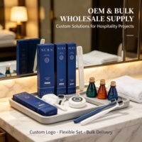Ensemble d'articles de toilette pour hôtel Business Blue : Shampoing, Après-shampoing, Gel douche, Lait corporel, Savon, Articles de toilette jetables, Logo personnalisé OEM