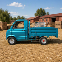 Mini camion électrique à 4 roues, petit pick-up électrique pour la livraison de marchandises sur de courtes distances en milieu agricole et urbain