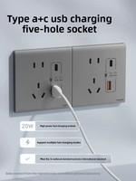 Prise Murale Mate Simple et Élégante Argent Sable Profond avec Interrupteur Simple, Cinq Ports USB Multiples, Ignifuge, pour Climatiseur PC