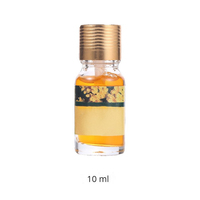 Ensemble de bouteilles en verre vides personnalisées pour aromathérapie domestique, diffuseur d'huiles fraîches, pendentif parfumé pour voiture, sans sulfate ni alcool