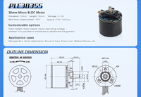Moteur BLDC miniature PrimoPal à couple élevé 38 mm 40 watts 12V 24V 3536 Moteur sans balais micro pour maison intelligente