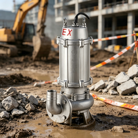 Pompe submersible antidéflagrante en acier inoxydable 304 pour eaux usées, 380V, drainage industriel des eaux usées, dragage minier, OEM de haute performance