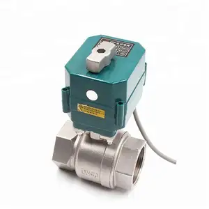 TOYI 12v Plastic Motorized Ball Valve With Actuator BSP NPT 2 Way Stainless Steel Electric Actuated Upvc Ball Valve