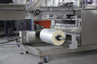 Machine d'emballage horizontale automatique HUAYUAN pour fruits, légumes et carottes en sachets