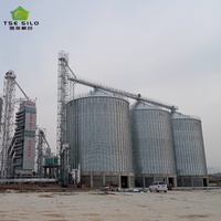 Grande Silo Professionale SolisFer in Acciaio Zincato con Assemblaggio a Bulloni per Stoccaggio di Grano e Cereali, Capacità 150-10000 Tonnellate