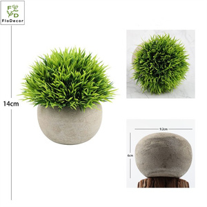 Vendita all'ingrosso calda <span class=keywords><strong>Mini</strong></span> <span class=keywords><strong>piante</strong></span> artificiali in vaso piccole <span class=keywords><strong>piante</strong></span> <span class=keywords><strong>grasse</strong></span> di plastica per la scrivania e la decorazione del giardino di casa - Product Image 6