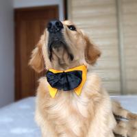 Grand chien Festival collier de chien noeud papillon réglable Gentleman fête de mariage grand chien noeud papillon