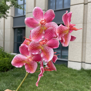 Orchidées Phalaenopsis <span class=keywords><strong>Vanda</strong></span>, 9 têtes, fleurs artificielles imprimées en 3D pour la décoration de mariage, de la maison et la photographie - Product Image 5