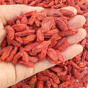 Compléments alimentaires à base de plantes pour hommes, thé aux herbes, baies de goji séchées, nouvelle récolte, baies de goji séchées de grande taille, qualité alimentaire, baies de goji rouges séchées du Ningxia - Product Image 1