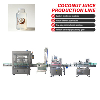 Ligne de production de jus de noix de coco à commande intelligente personnalisée, machine de traitement de boissons pour une large gamme de bouteilles