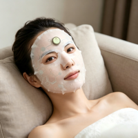 Masque de massage EMS anti-âge, raffermit la peau, réduit les ridules, vente chaude, masque facial EMS personnalisé, faible MOQ