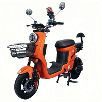 Vélo électrique de ville R9 800W avec moteur sans balais, batterie au plomb-acide 48V 20AH, vitesse de 45 km/h, suspension intégrale, freins à disque hydrauliques, électronique