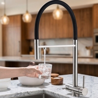 Sortie d'usine Pulldown Cuisine Mitigeur Noir Robinet D'eau Potable Pull Out Cuisine Robinet Filtre
