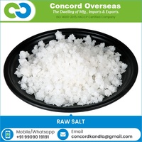 Raw Sea Salt Used for Improvement, Preservation and Cleaning