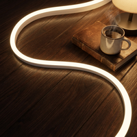 Bande LED Néon Flexible Ultra Mince 0408 120 LED 168 LED 12V 24V avec Variateur de Lumière, Découpable, Installation Sans Soudure 0410 pour Éclairage de Meubles et Armoires