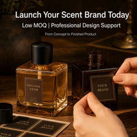 Sprays d'ambiance pour la maison, grande capacité, brumes parfumées sans flamme, parfums d'ambiance orientaux de luxe, décoration de chambre d'hôtel, salon, longue durée, coffret cadeau