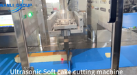 Machine à couper le pain en cubes automatique à ultrasons électrique WanliSonic 220V pour usage en boulangerie