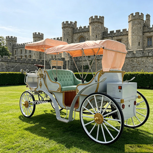 Autocar de tourisme haute performance au design vintage pour parcs historiques, festivals et scènes de photographie - Product Image 1