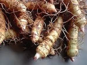 Produsen Pasokan Jumlah Besar Bubuk Ekstrak <span class=keywords><strong>Polygonatum</strong></span> Odoratum - Product Image 4