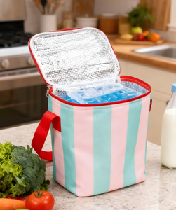 ग्रीष्मकालीन पुनः प्रयोज्य फैशन पर्यावरण के अनुकूल 14 एल इन्सुलेट पिकनिक कूलर बैग - Product Image 2